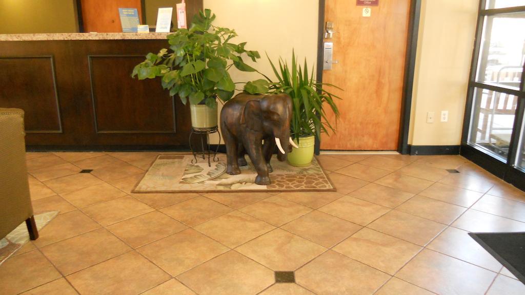 La Casa Inn & Suites-Middleboro Eksteriør bilde